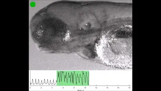 Graphene biointerfaces for optical stimulation of cells