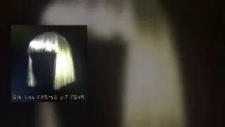 Sia - Fire Meet Gasoline ( Official Instrumental + Lyrics On Screen / Karaoke )