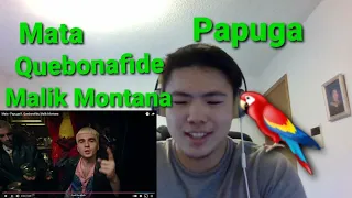 Mata - Papuga ft. Quebonafide, Malik Montana | REACTION (Reacting To Polish Rap)