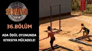 Ada oyununda nefes kesen mücadele! | 36.Bölüm | Survivor 2018