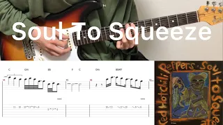 Red Hot Chili Peppers - Soul To Squeeze (guitar cover with tabs & chords)