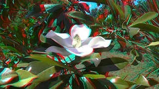 Amazing garden 3D anaglyph