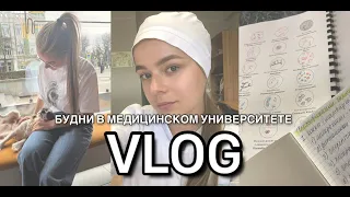 VLOG|БУДНИ В МЕДИЦИНСКОМ УНИВЕРСИТЕТЕ|КАК ВЫЖИТЬ НА 2 КУРСЕ|КУБГМУ