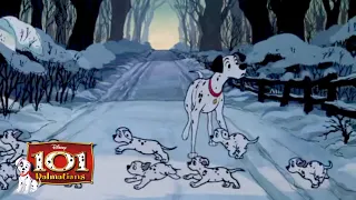 Covering your tracks | HD (8/11) Movie Scenes | 101 Dalmatians (1961)