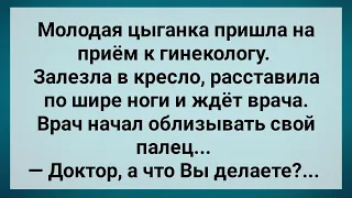 Гинеколог Перед Цыганкой Облизнул Свой Палец! Сборник Свежих Анекдотов! Юмор!