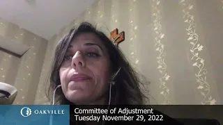 Committee of Adjustment, November 29, 2022