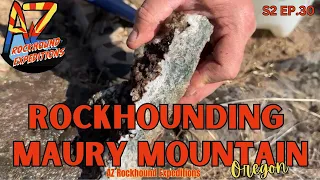 Rockhounding the Maury Mountains in Oregon