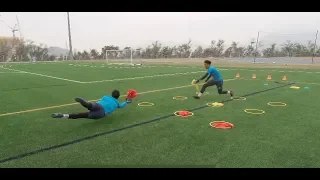 ROBERTO SAMBADE. GOALKEPEER TRAINING. REACTION SPEED JANUARY 2019