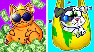 GIGA RICH CAT vs BROKE DOG || Room After Your Pet || Walking Your Pet Challenge