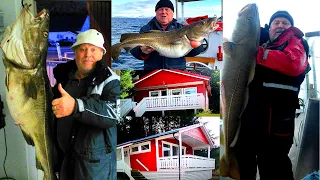Рыбалка твоей мечты! .Фестиваль трофейной трески в Норвегии, база - Vennesund.