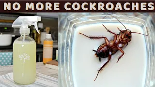 How To Get Rid Of Cockroaches Fast, Overnight And Forever In Kitchen Cabinets Naturally