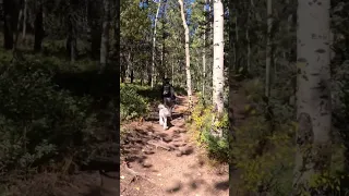 Colorado hiking in the fall😃👍⛰