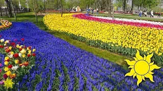 Veselka Park on the opening day! Mariupol. Aerial view. Nina Matvienko - Flower soul ☀SunVideo