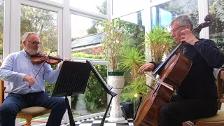 The Tenpenny Bit - Irish Traditional - String Duo