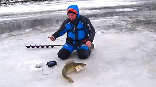 A large walleye rips off the bait!! Winter fishing for walleye