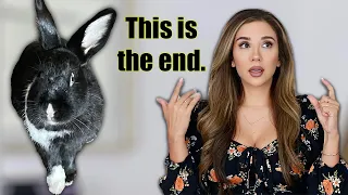 5 Things I Wish I Knew Before Getting a BUNNY