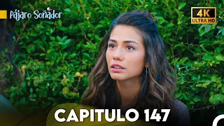 Pájaro Soñador Capítulo 147 (Doblado En Español 4K)