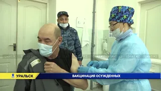 ВАКЦИНАЦИЯ ОСУЖДЕННЫХ