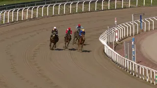 Kvallopp 1-2024-04-21 Jägersro galopp