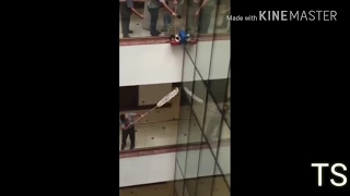 Baby Cat Falls from 10th floor