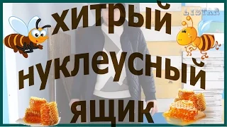 хитрый ящик улей под нуклеусы пчелы пчеловодство пасека