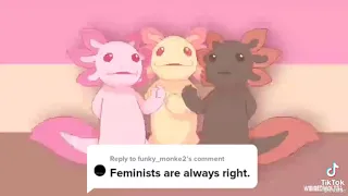 Axolotl fucking bullshit song- Feminists are always right(They aren't)