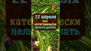 22 апреля народный праздник Вадим Ключник. Что нельзя делать. Народные приметы и традиции