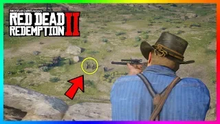 The ONE BIG THING Most Players Missed When Arthur Was Captured By Colm In Red Dead Redemption 2!