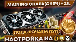 🔥 Майнинг CHAPA (CHIPI) + ZIL на пуле icemining.  Настройка lolminer на HiveOS, RaveOS, windows