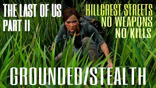 Hillcrest Streets-The Last Of Us Part 2 (Grounded/Stealth) No Kills/No Weapons/No Damage