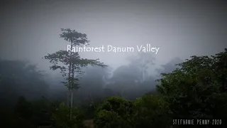 Timelapse Danum Valley 26 January 2020