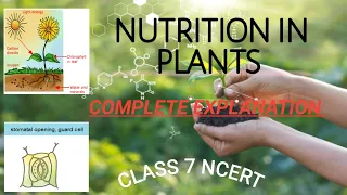 Nutrition in plant | one shot | class 7th NCERT | complete explanation.|