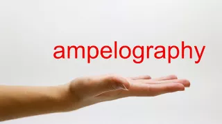 How to Pronounce ampelography - American English