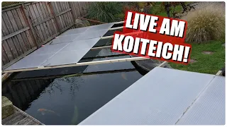 Live am Koiteich - Winterabdeckung Realtalk