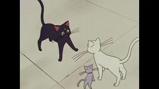 Sailor Moon SuperS Episode 133 VIZ Dub Luna Catches Artemis cheating Michelle Ruff Johnny Yong Bosch