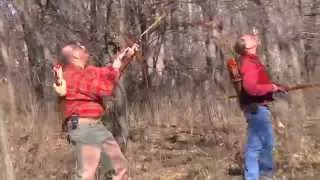 squirrel archery hunting