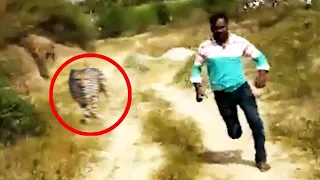 7 Scariest Leopard Encounters of the Year