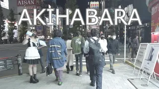 【東京散歩】秋葉原の夜、アニメ オタク メイドの聖地を散歩:Akihabara night walk in Tokyo. A Sanctuary for anime or maid otaku.