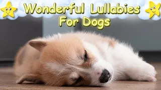 Relaxing Sleep Music For Dogs And Puppies ♫ Effective Lullaby To Calm Your Dog