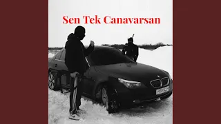 Sen Tek Canavarsan