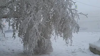 ЗИМНИЕ КАДРЫ × YAKUTSK -50° × WINTER FRAMES ▪︎ #1