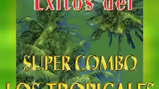 SUPER COMBO LOS TROPICALES EXITOS BAILABLES (DJ FRANKLINFOX)