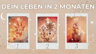 Dein Leben in 2 Monaten☀️🔮Auswahlorakel - Wähle einen Stapel🔮☀️