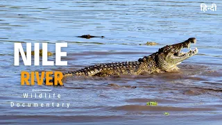 Nile River - Wild Africa, हिन्दी डॉक्यूमेंट्री | Full Episode | Wildlife documentary in hindi