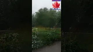 Heavy rain in Montréal, Summer 2023