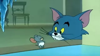 tom  and jerry