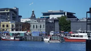 La imperdible ruta de la cerveza en Valdivia