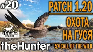 theHunter call of the wild #20 🔫 - Патч 1.20 Охота на Гуся - Ружье + Дробь - Канадская Казарка