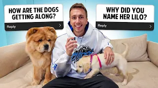 Q&A WITH MY DOGS!
