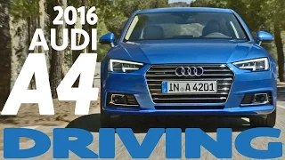 ► 2016 Audi A4 Sedan - FIRST DRIVING